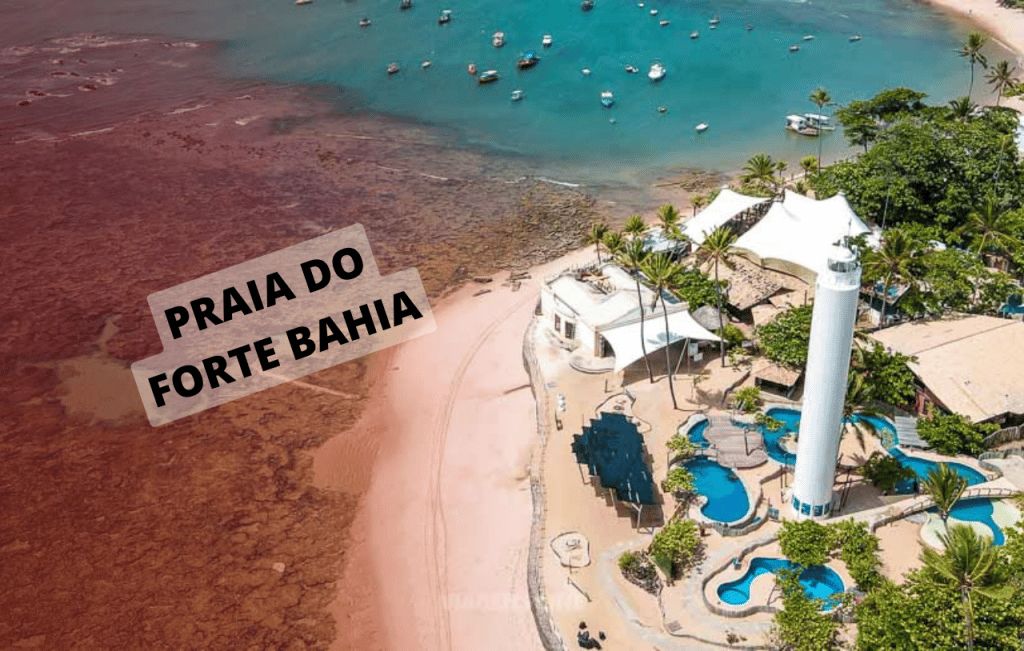 Praia Do Forte Bahia: Dicas e Motivos para Viajar